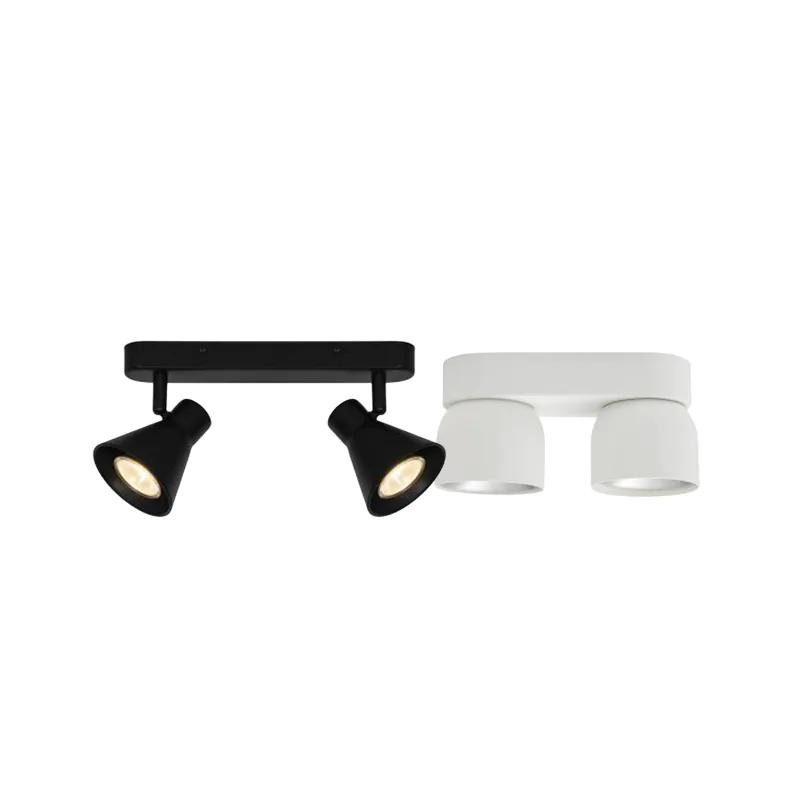 2 Spot Ceiling Light