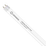 Ledvance LED Tube T8 Performance Food (EM/Mains) Standard Output 5.2W 500lm - 833 Warm White | 60cm - Replaces 18W