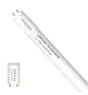 Noxion LED Tube T8 Avant (EM/Mains) Standard Output 15W 1800lm - 830 Warm White | 120cm - Replaces 36W